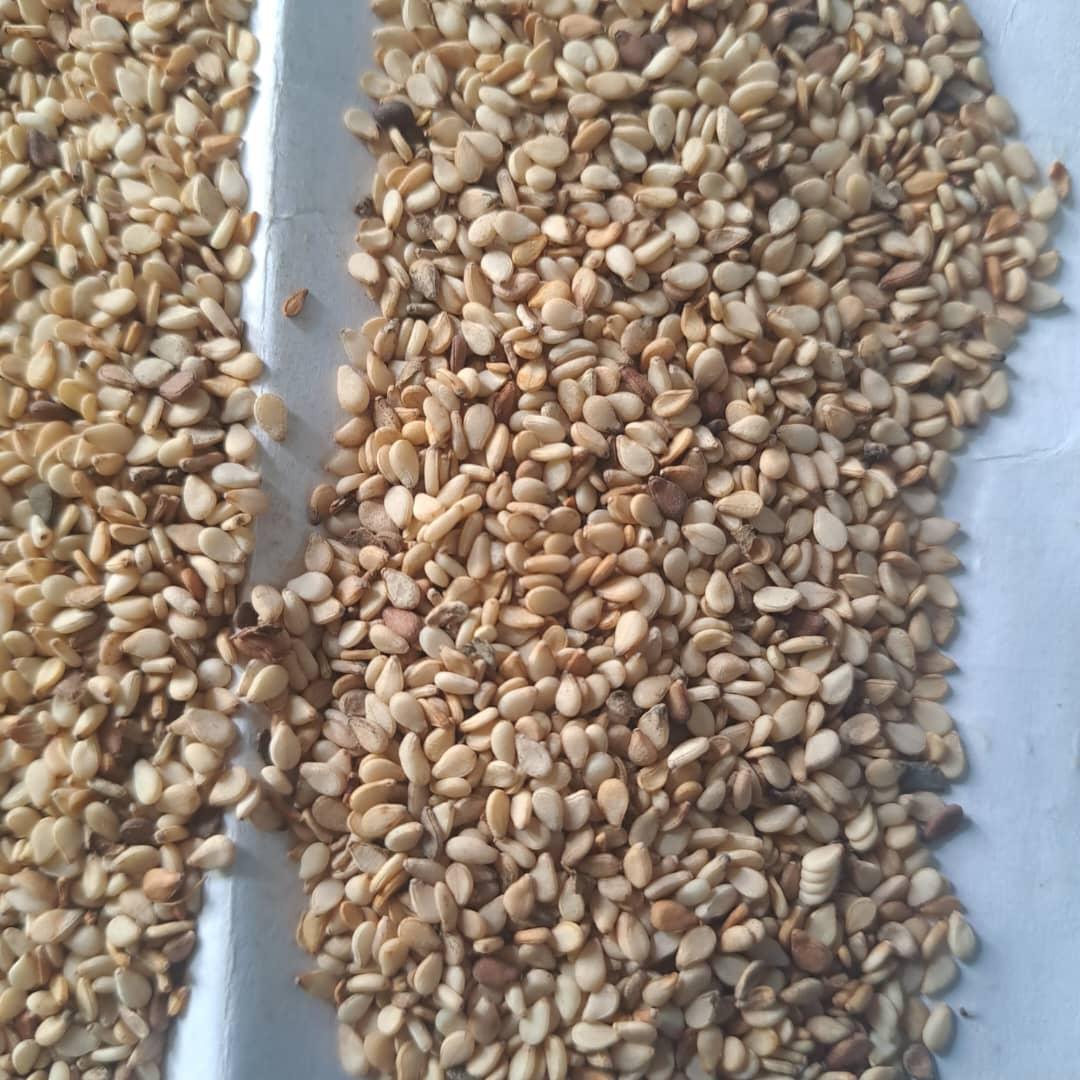 White Sesame Seeds